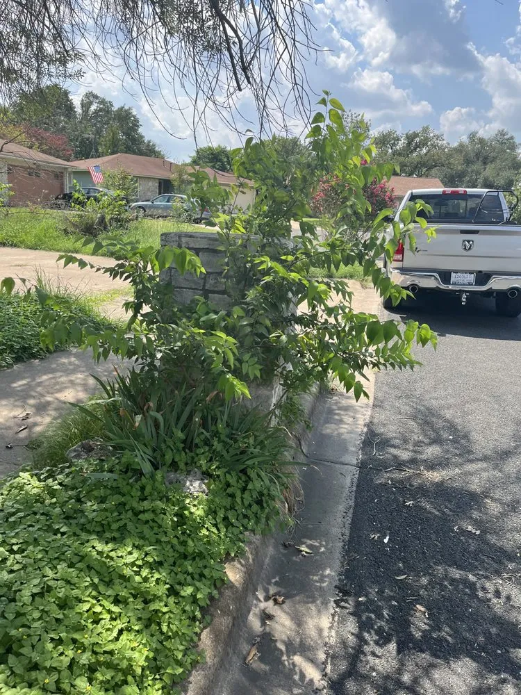 Reliable yard maintenance experts serving Austin, TX - BGE services