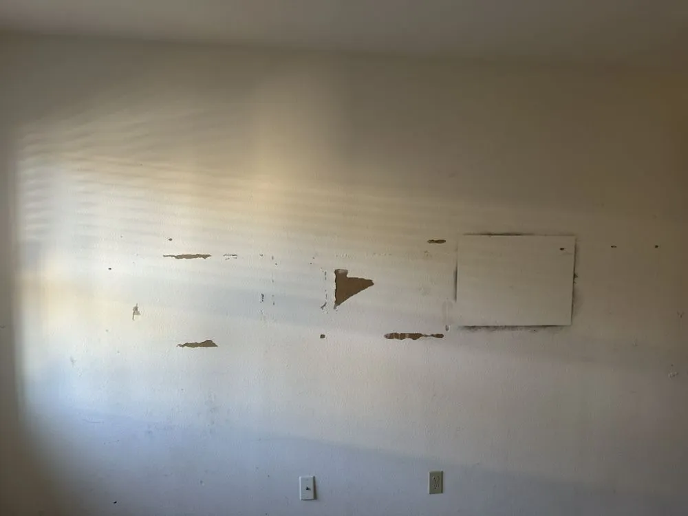 Expert yard cleanup service for residential properties across San Diego, CA - BGM Services