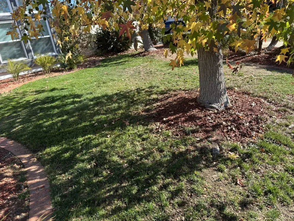 Top-rated outdoor landscaping near you across San Diego, CA - BGM Services