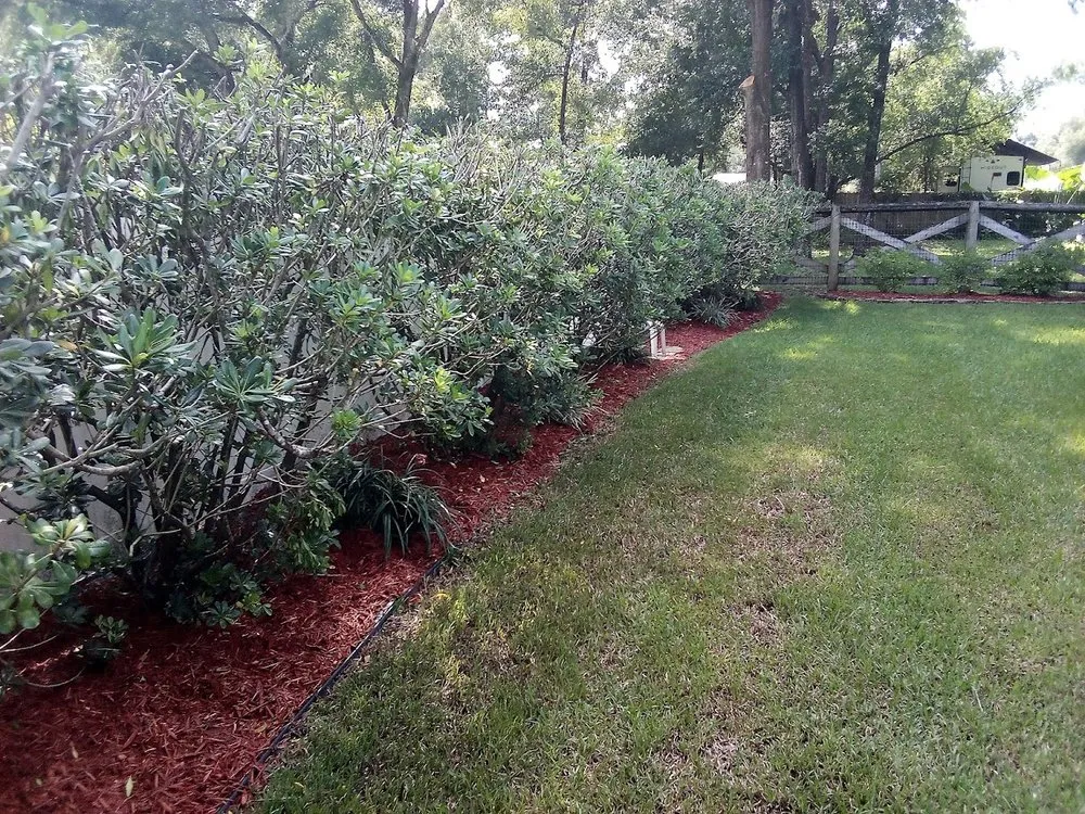 Top-rated landscaping services in Brooksville, FL - BGR Landscapes
