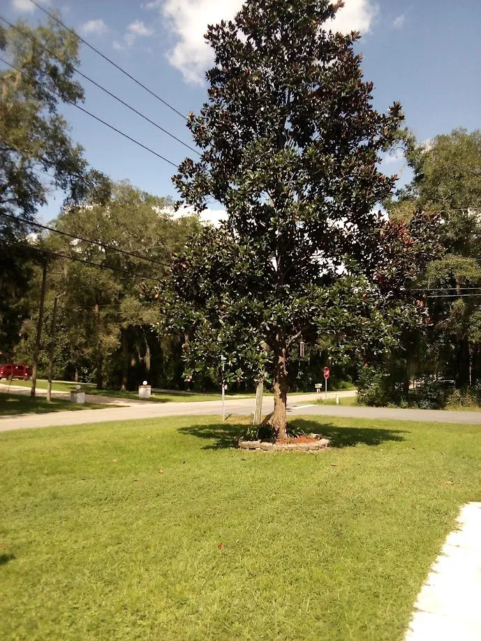 Expert garden landscaping in Brooksville, FL - BGR Landscapes