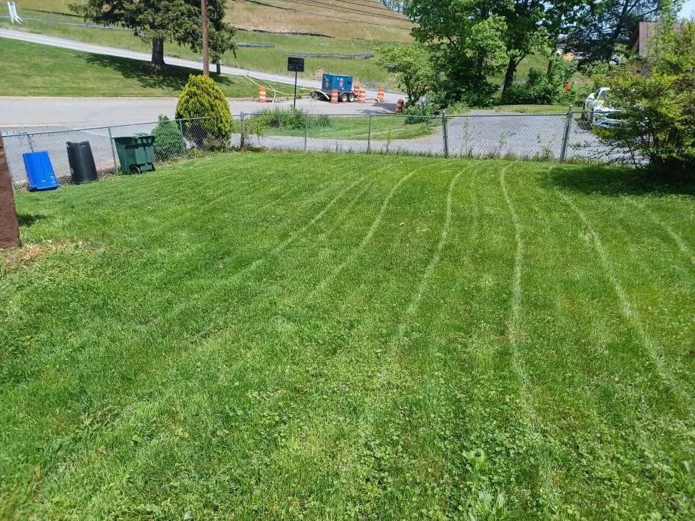 Expert yard cleanup service experts serving New Bloomfield, PA - BGS Services