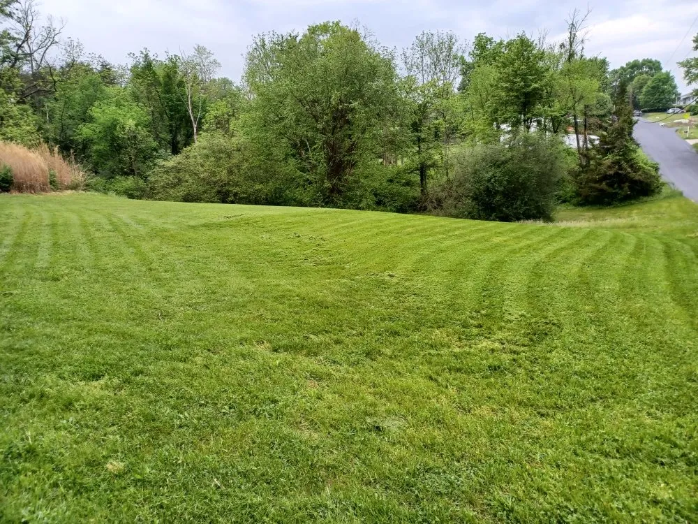 Professional landscape installation experts serving New Bloomfield, PA - BGS Services