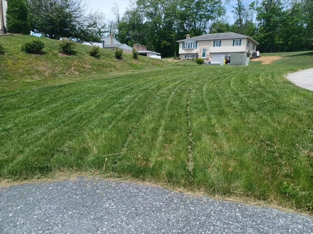 Trusted landscape design in New Bloomfield, PA - BGS Services
