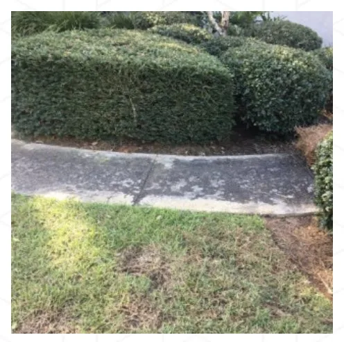 Reliable yard maintenance experts serving Tallahassee, FL - B&G’s Superior Lawn Care Services