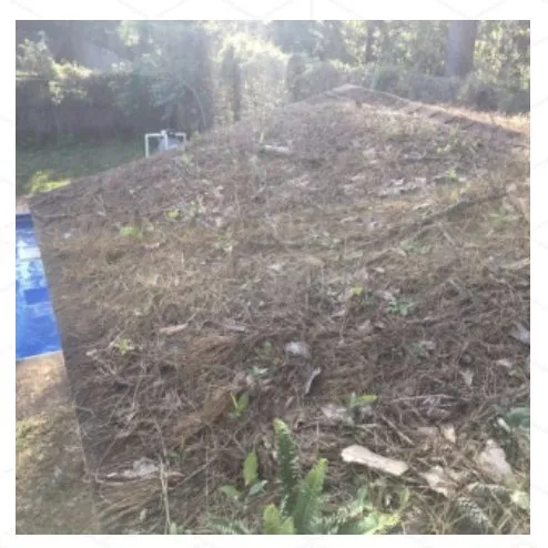 Expert garden landscaping in Tallahassee, FL - B&G’s Superior Lawn Care Services