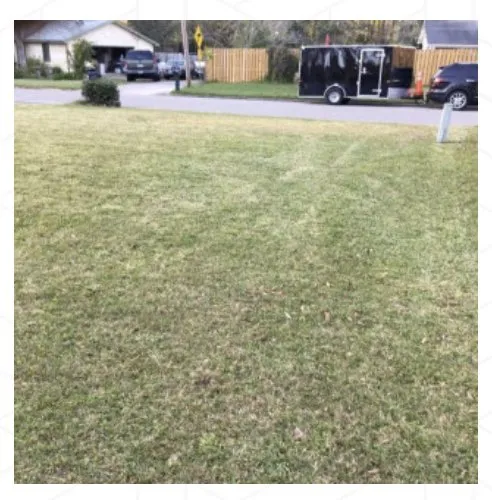 Expert garden landscaping in Tallahassee, FL - B&G’s Superior Lawn Care Services