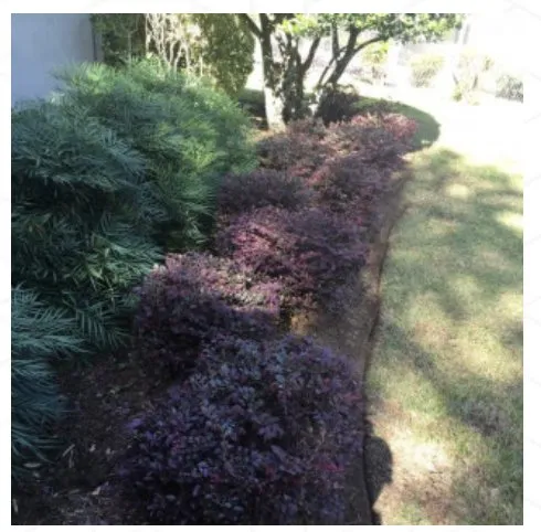 Custom lawn care service in Tallahassee, FL - B&G’s Superior Lawn Care Services