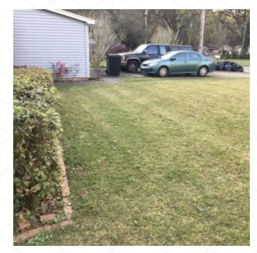 Expert lawn care service experts serving Tallahassee, FL - B&G’s Superior Lawn Care Services