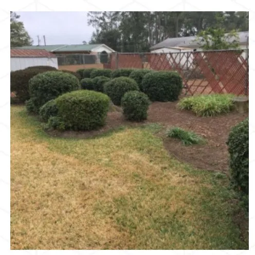 Local residential landscaping in Tallahassee, FL - B&G’s Superior Lawn Care Services