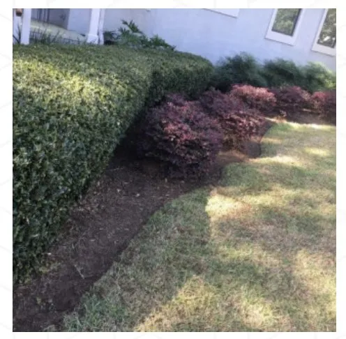 Affordable yard maintenance experts serving Tallahassee, FL - B&G’s Superior Lawn Care Services