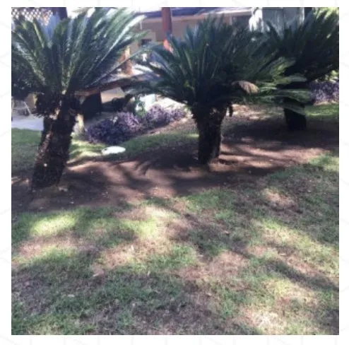 Professional yard cleanup service for homes across Tallahassee, FL - B&G’s Superior Lawn Care Services