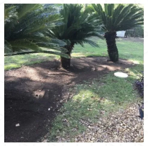 Reliable yard maintenance for beautiful yards across Tallahassee, FL - B&G’s Superior Lawn Care Services