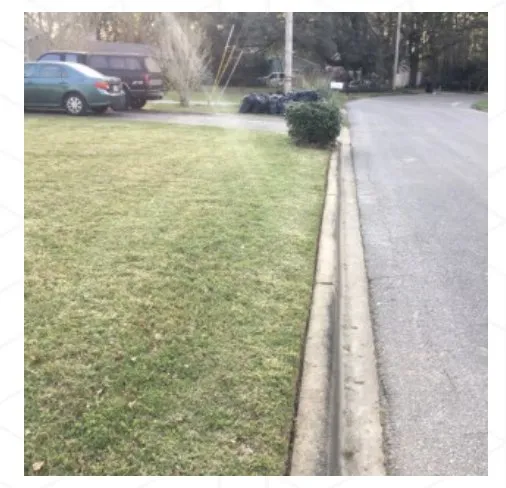 Professional yard cleanup service near you across Tallahassee, FL - B&G’s Superior Lawn Care Services
