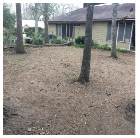 Professional lawn care service for beautiful yards in Tallahassee, FL by B&G’s Superior Lawn Care Services