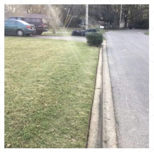 Reliable landscape design in Tallahassee, FL - B&G’s Superior Lawn Care Services