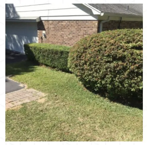 Local landscape design for year-round maintenance in Tallahassee, FL by B&G’s Superior Lawn Care Services