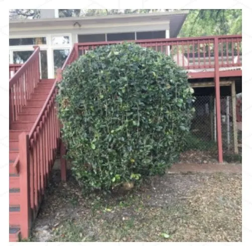 Affordable residential landscaping in Tallahassee, FL - B&G’s Superior Lawn Care Services