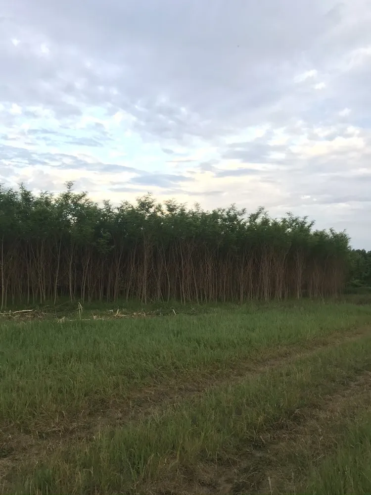 Professional outdoor landscaping experts serving Mattawan, MI - BH Earth Wurx