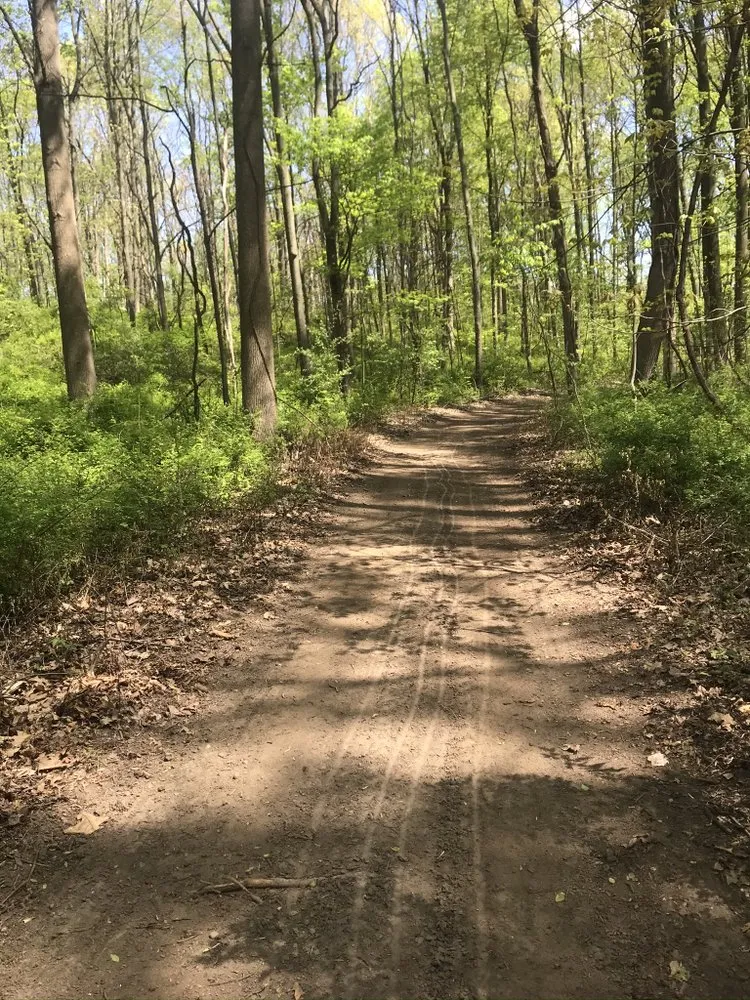 Reliable landscape design for outdoor upgrades across Mattawan, MI - BH Earth Wurx