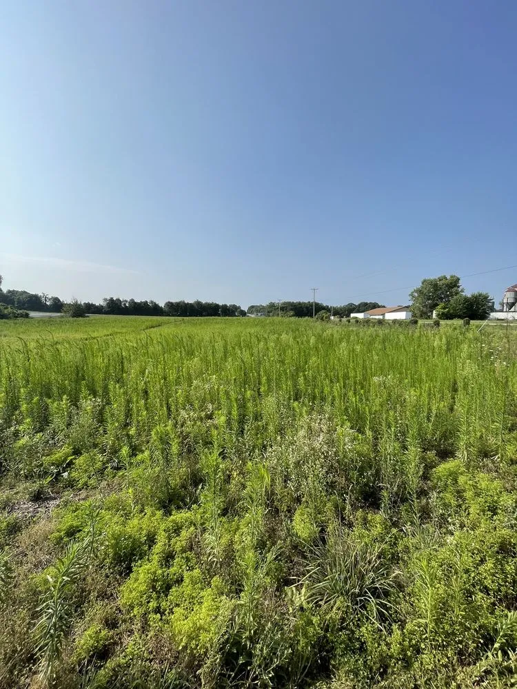 Affordable landscaping services in Mattawan, MI - BH Earth Wurx