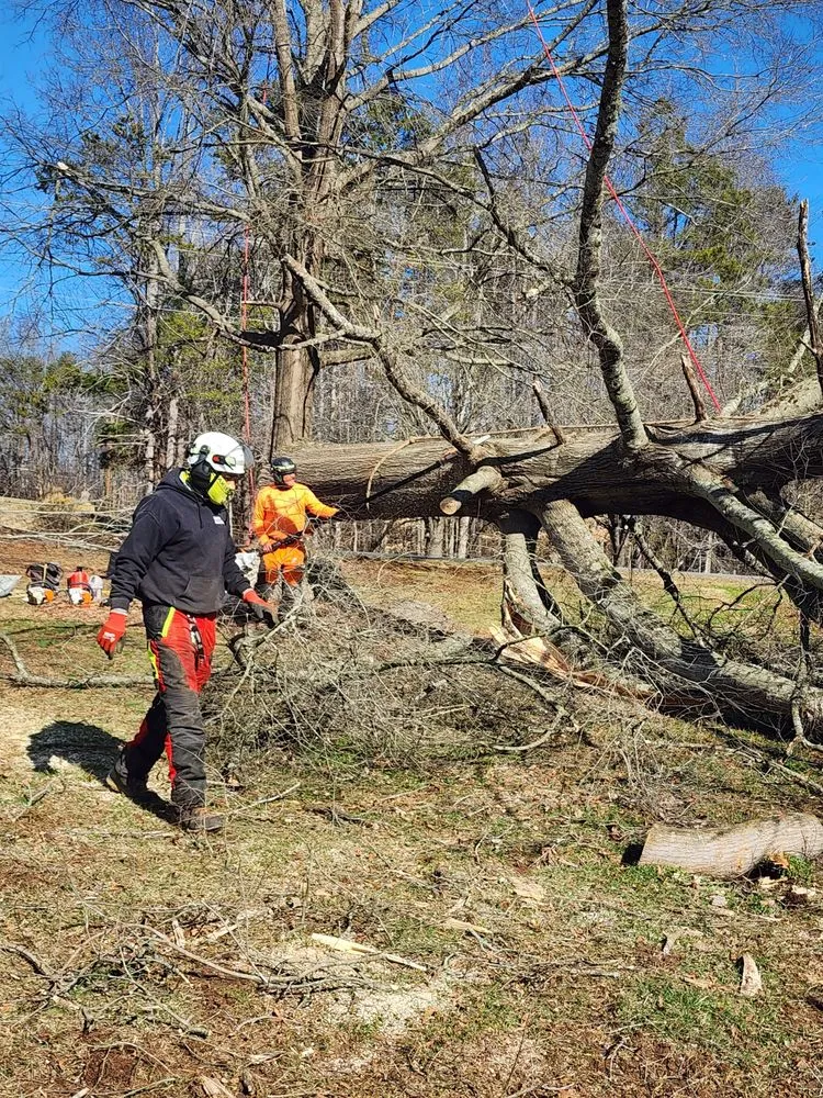 Trusted residential landscaping in Clemmons, NC - BH Enterprise & Landscaping
