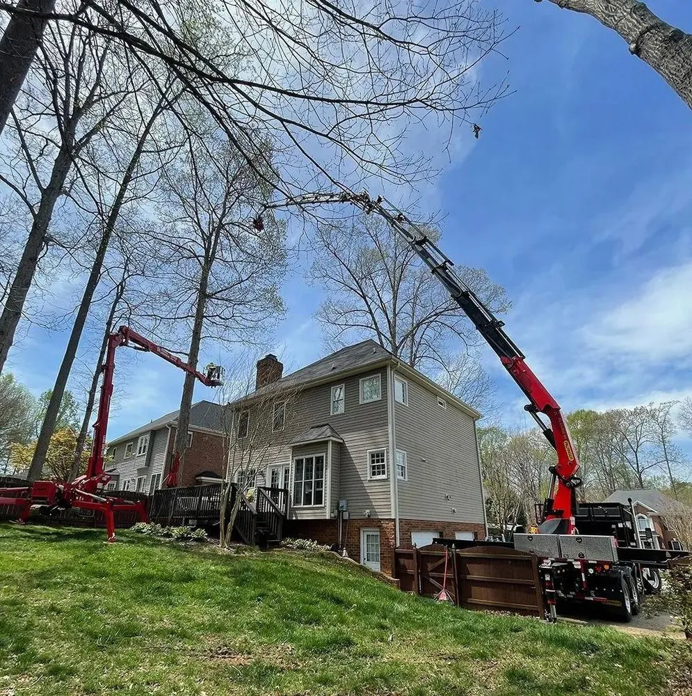 Custom yard cleanup service in Clemmons, NC by BH Enterprise & Landscaping