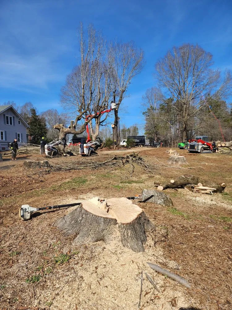 Expert landscape design for residential properties across Clemmons, NC - BH Enterprise & Landscaping