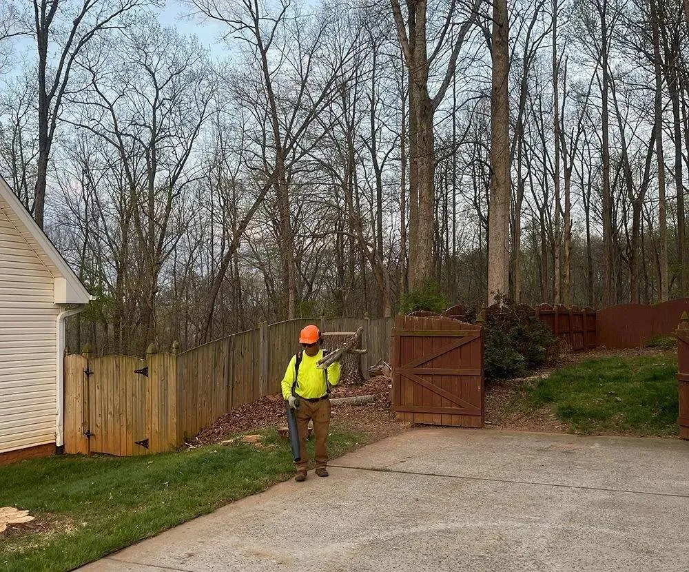 Local landscape design experts serving Clemmons, NC - BH Enterprise & Landscaping