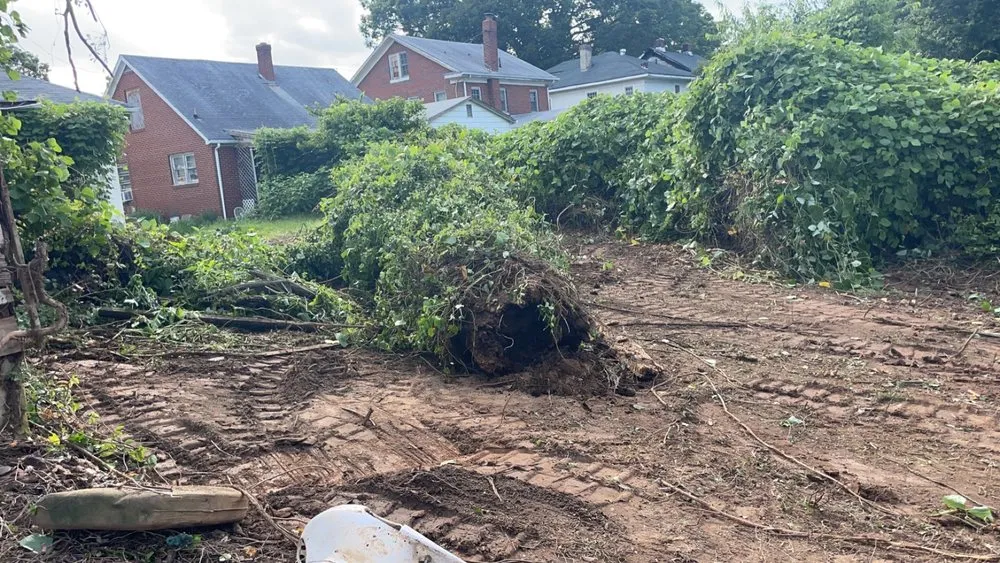 Affordable yard maintenance experts serving Martinsville, VA - B&H Enterprise