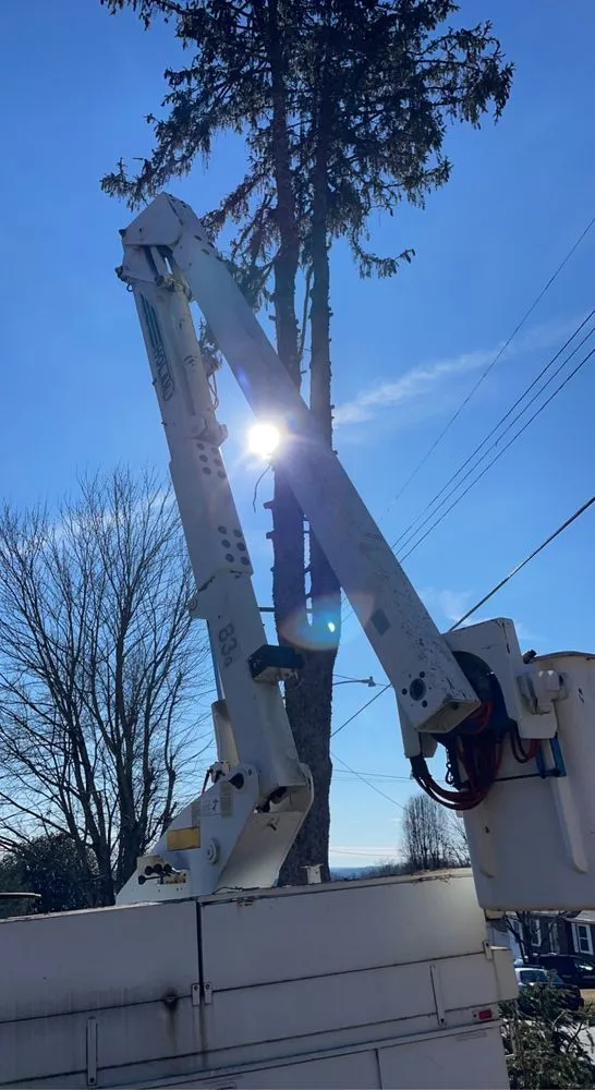 Affordable residential landscaping in Martinsville, VA by B&H Enterprise