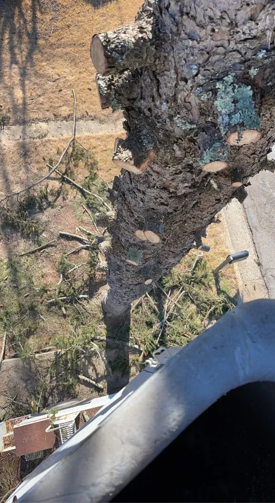 Trusted landscape design in Martinsville, VA by B&H Enterprise