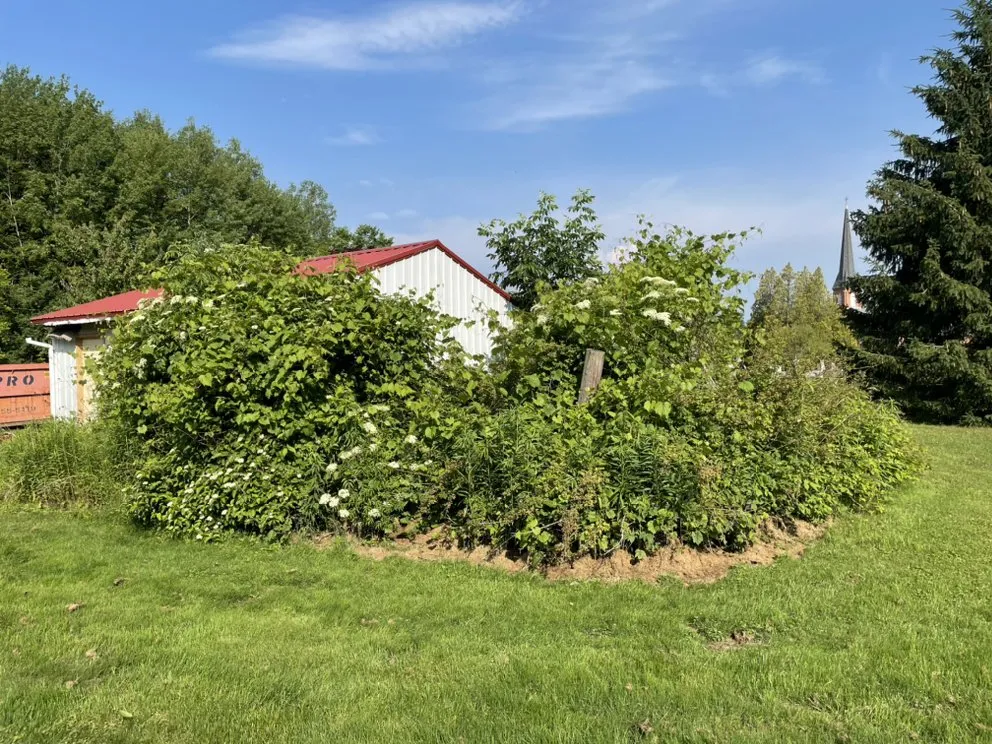 Professional yard cleanup service in Andover, OH by B.H. Groundworks
