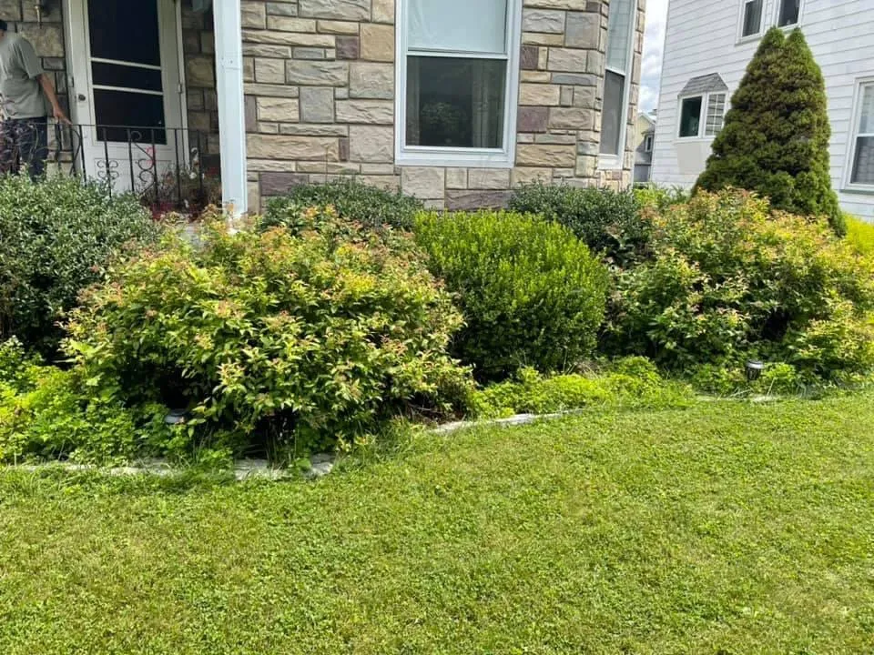 Reliable landscaping services in Elmira, NY by B&H Hauling
