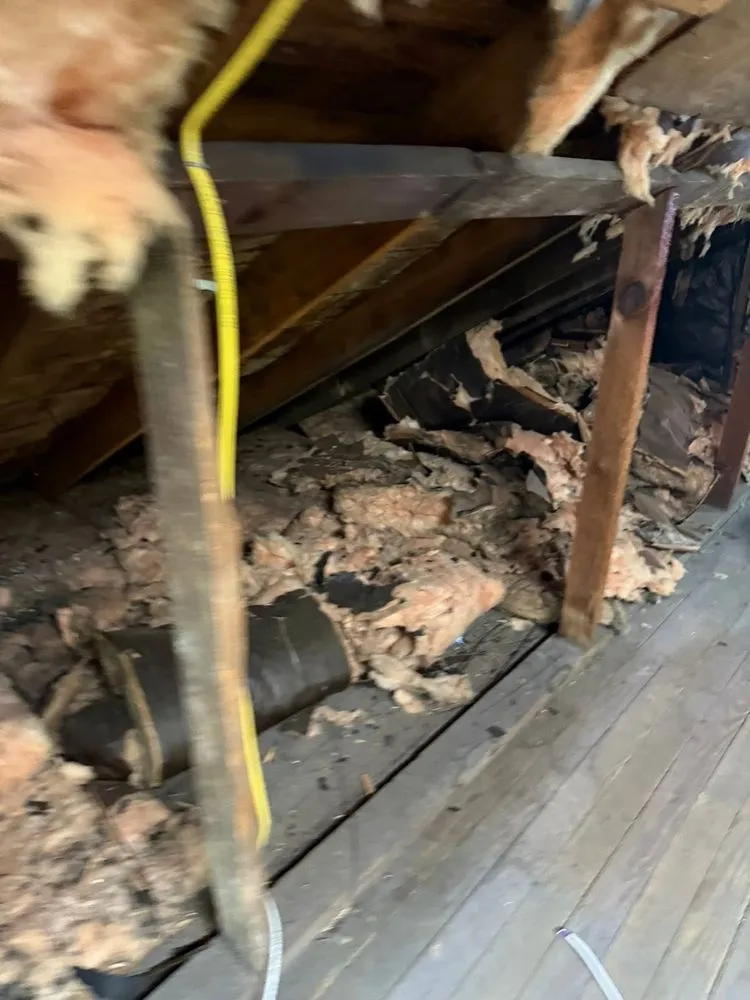 Trusted lawn mowing service in Elmira, NY - B&H Hauling