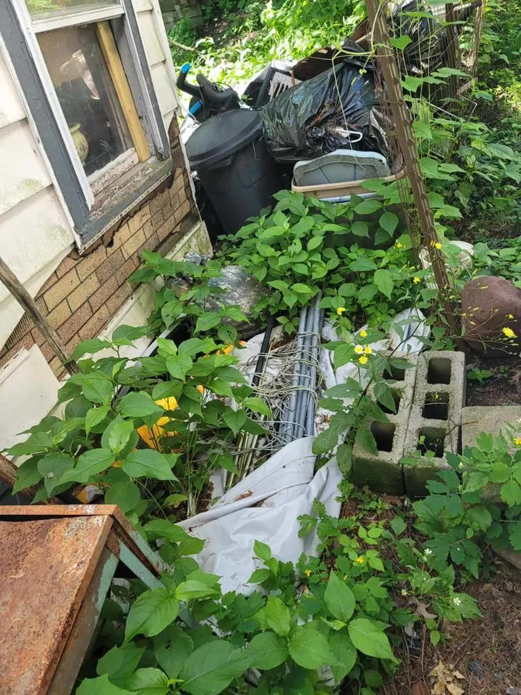 Professional landscaping services experts serving Elmira, NY - B&H Hauling