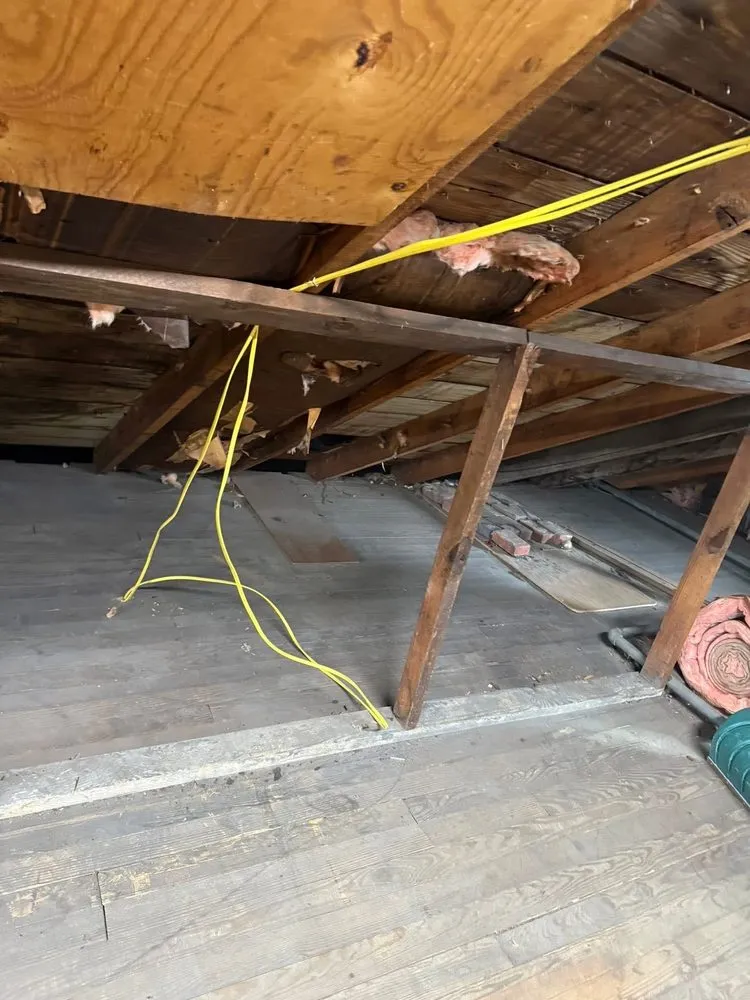 Expert lawn care service experts serving Elmira, NY - B&H Hauling