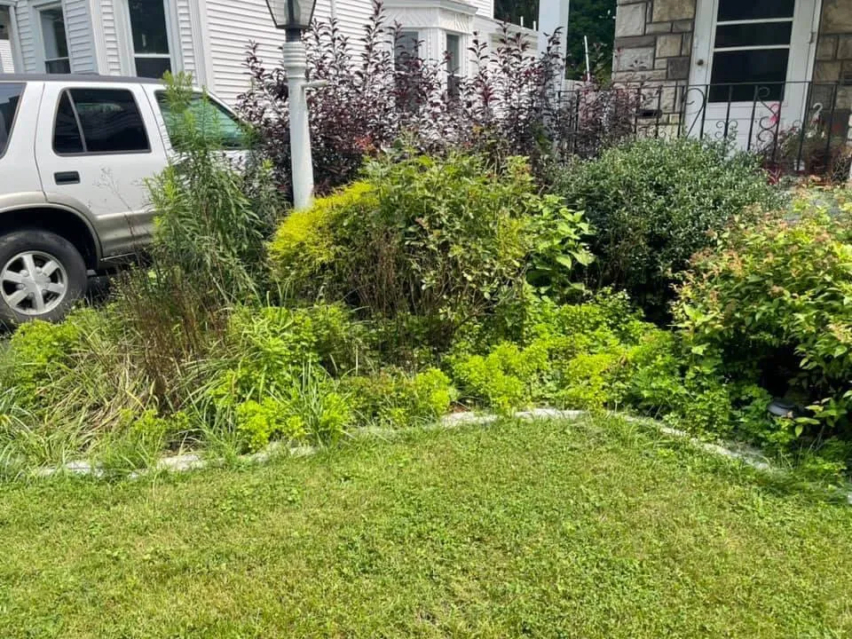 Professional residential landscaping in Elmira, NY - B&H Hauling