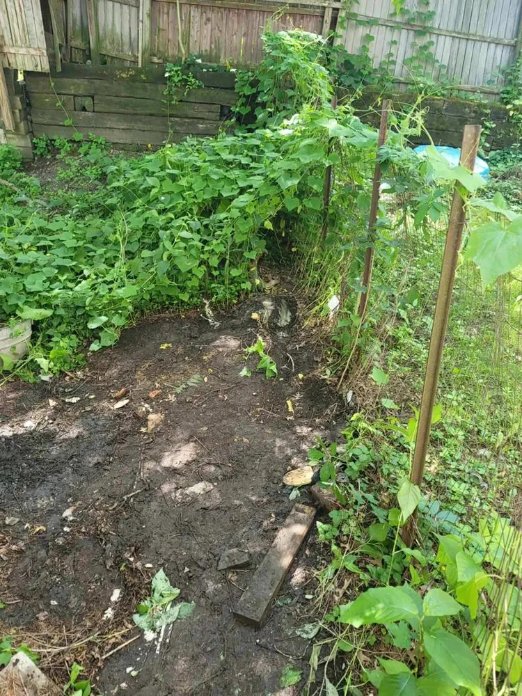 Professional outdoor landscaping experts serving Elmira, NY - B&H Hauling