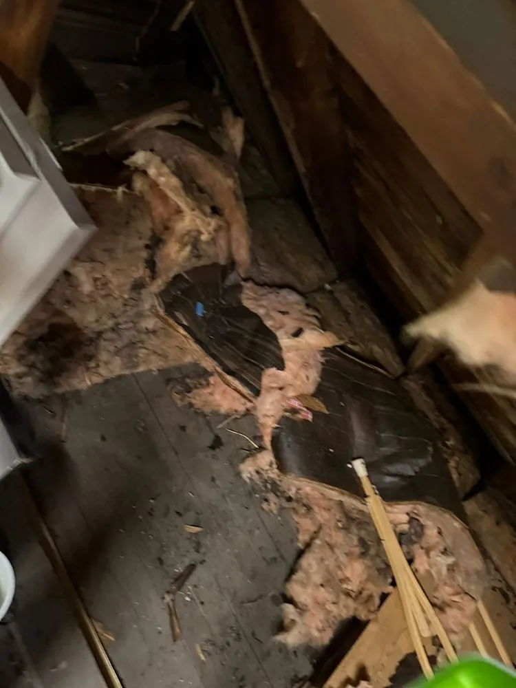 Trusted lawn care service in Elmira, NY by B&H Hauling