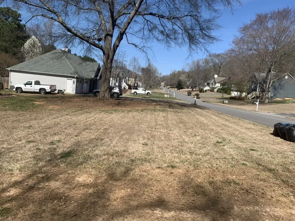 Reliable yard cleanup service in Dallas, GA - B&H Landscaping