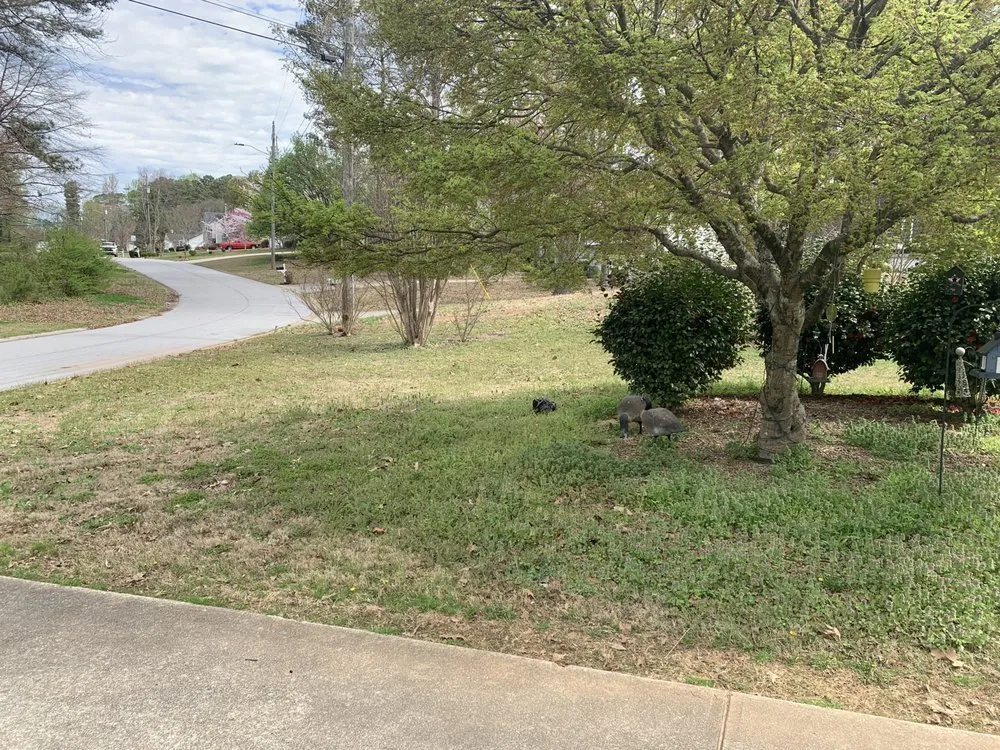 Affordable outdoor landscaping experts serving Dallas, GA - B&H Landscaping