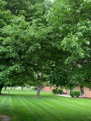 Professional residential landscaping experts serving Council Bluffs, IA - BH Lawn & Landscaping