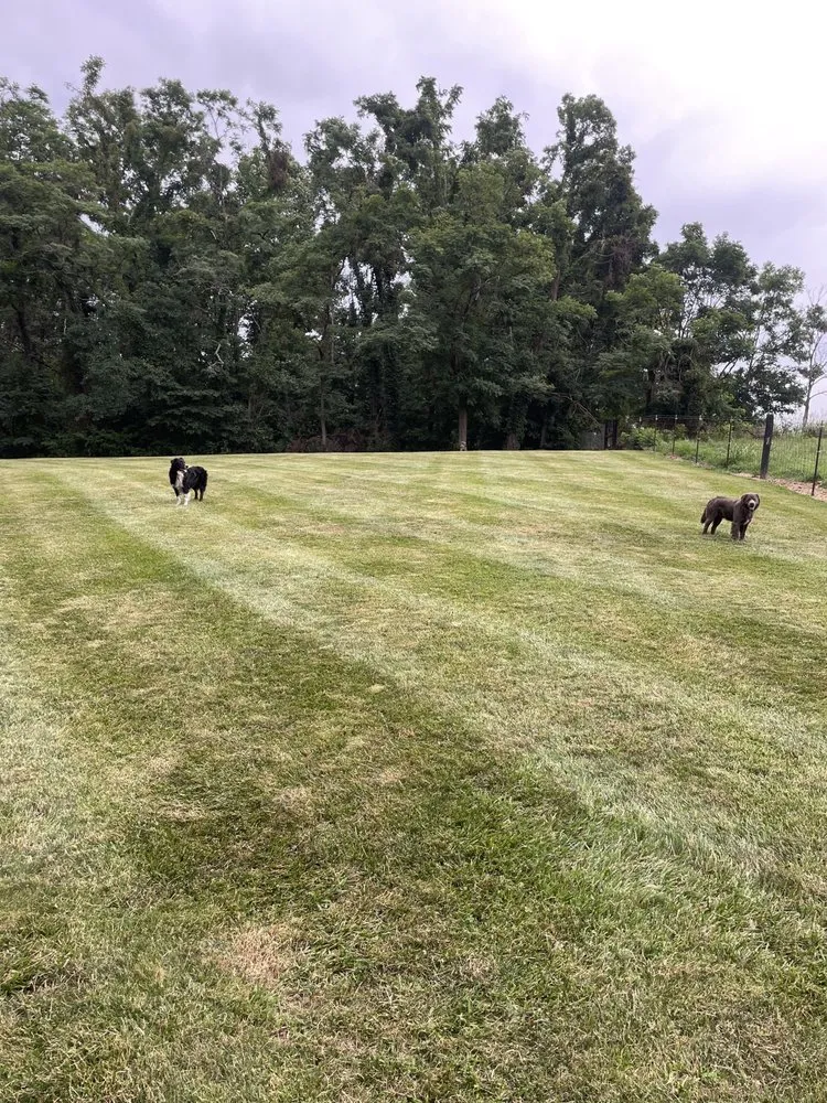 Professional landscape installation experts serving Jamestown, KY - BH Lawn Care