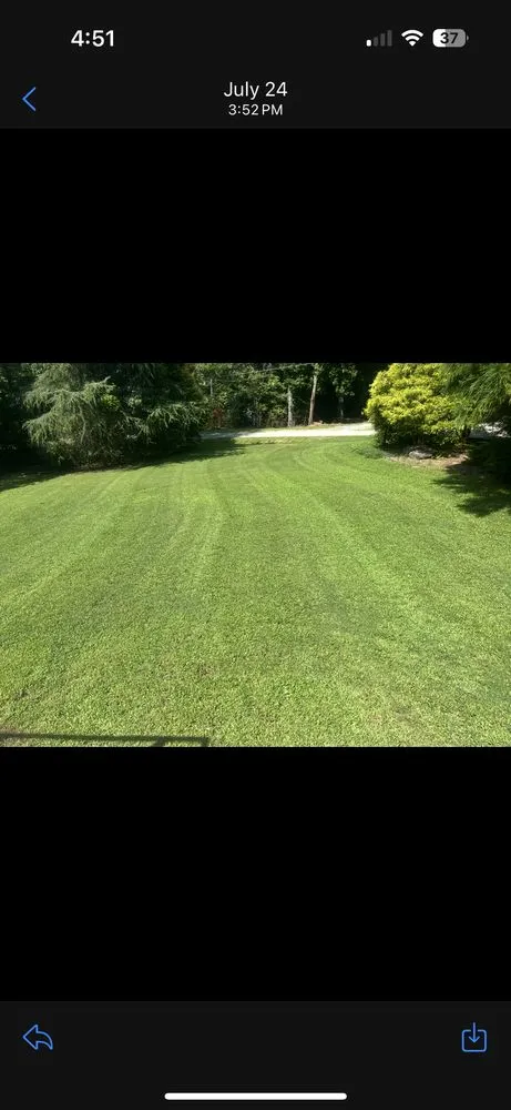 Local lawn care service in Madison, NC - B&H Lawn Care