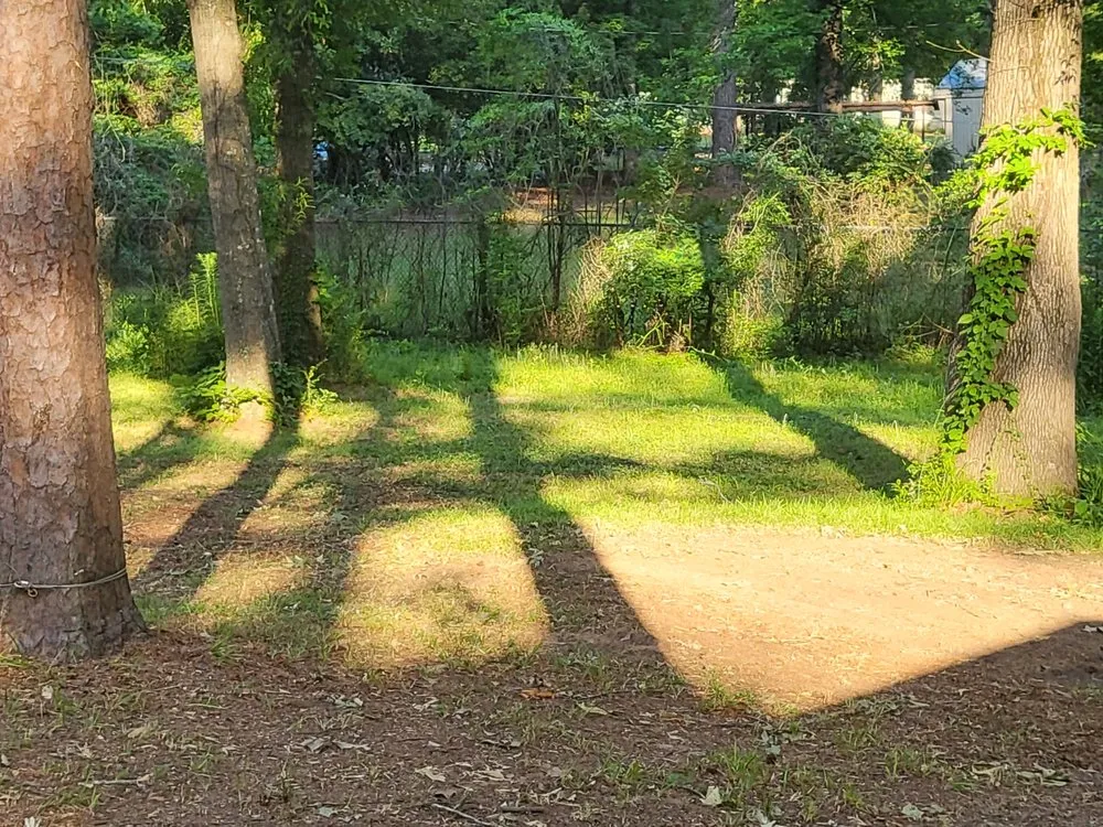 Trusted outdoor landscaping experts serving Greenwood, LA - B&H Lawncare