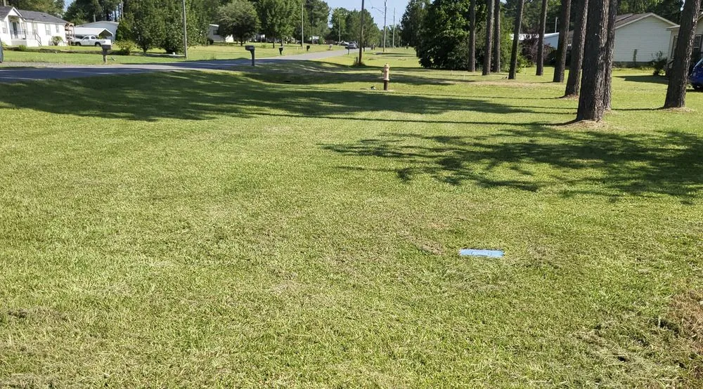 Custom lawn mowing service with custom design in Greenwood, LA by B&H Lawncare