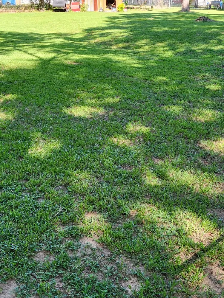 Trusted landscape design for year-round maintenance in Greenwood, LA by B&H Lawncare