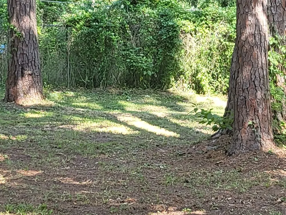 Custom outdoor landscaping in Greenwood, LA - B&H Lawncare