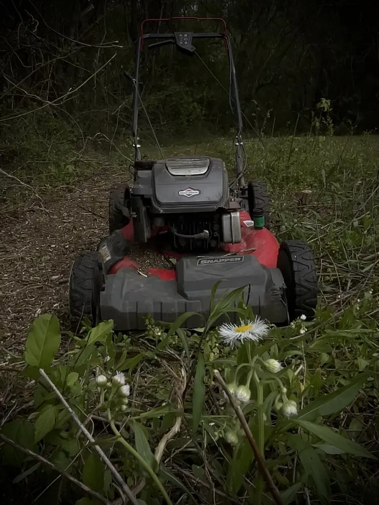 Expert landscaping services for year-round maintenance across Town Creek, AL - BH Mowing